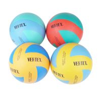 VERTEX VOLLEYBALL-5